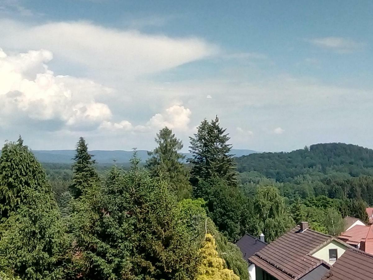 Jagdschloesschen-Harz Apartment Бад Захса Екстериор снимка